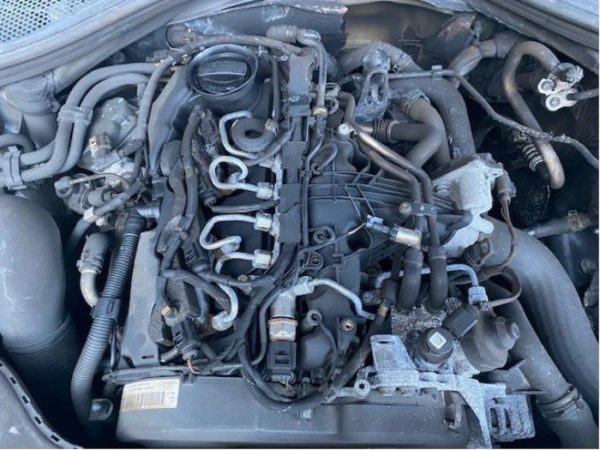 AUDI A6/Q6 2.0L TDI CGL ENG