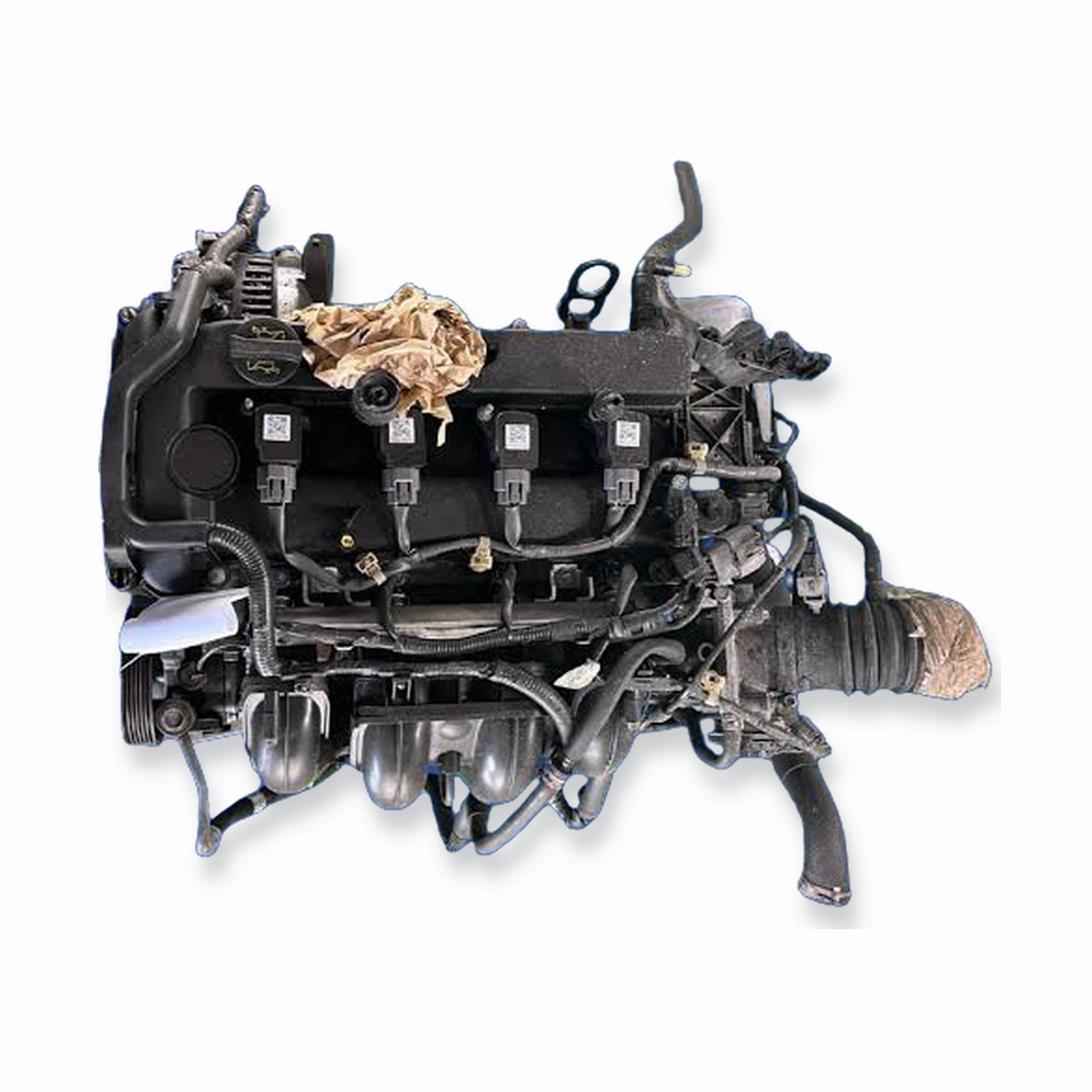 Mazda3/5/6 2.0l Outer Dipstick -LF- Engine - Engine Only