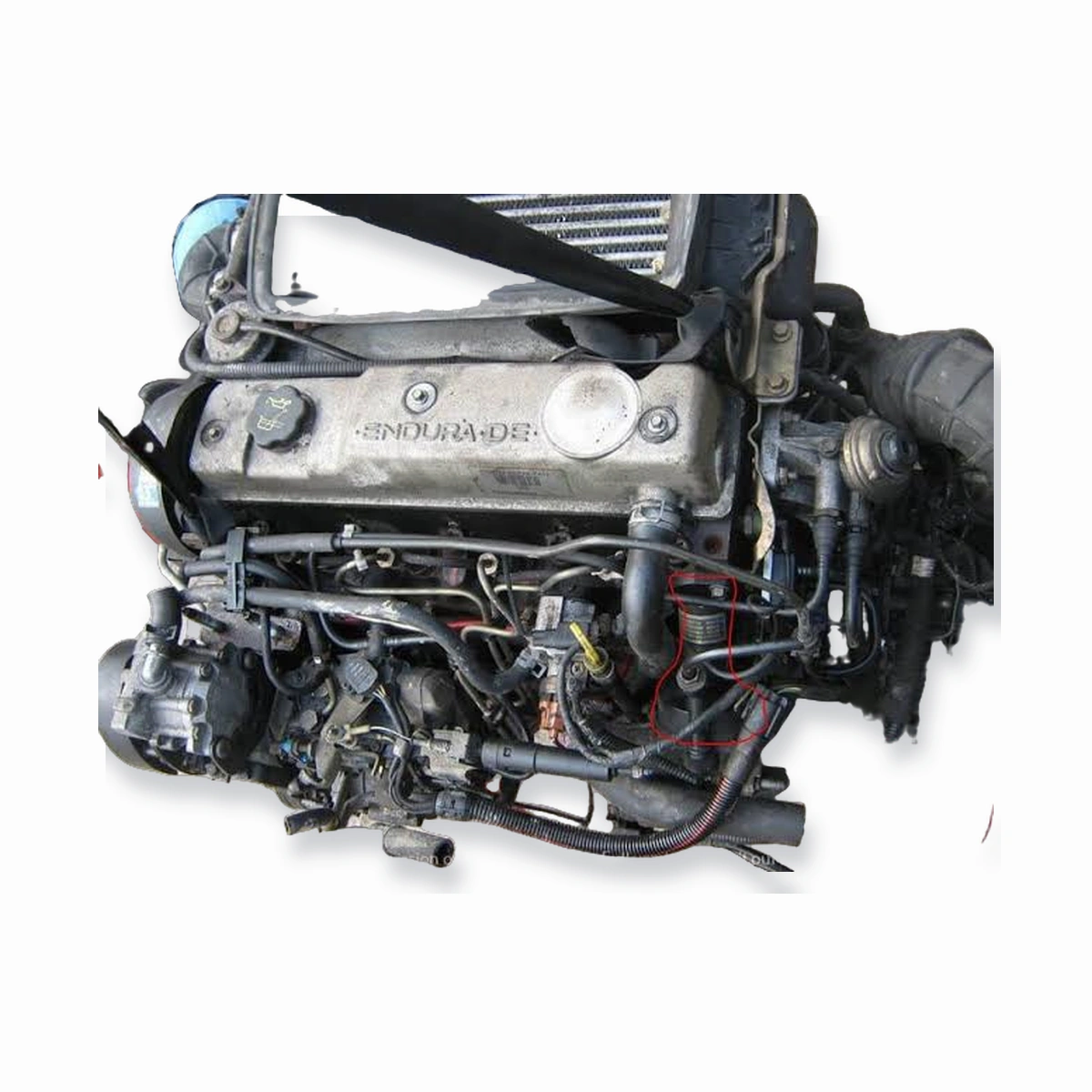 Ford Endura Diesel - Engine � Engine Only